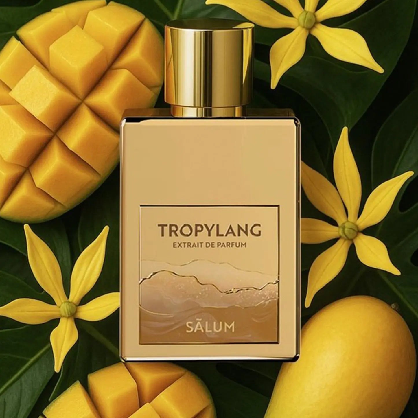 Tropylang Salum Parfums